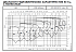 NSCF 80-160/150/P25VCC4 - График насоса NSC, 4 полюса, 2990 об., 50 гц - картинка 3